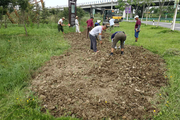附件2 牛角大圩园区入口处播撒草籽.jpg