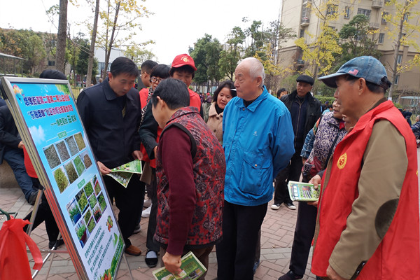 附件2 绿色阳台宣传.jpg